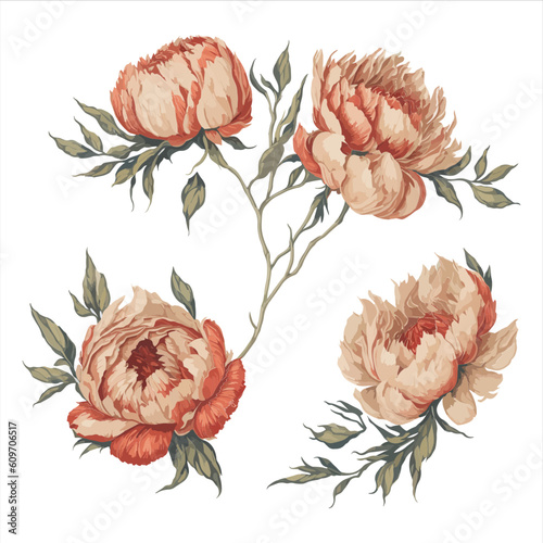 Peonies Red Gold Watercolor Flower Arrangement Collection.