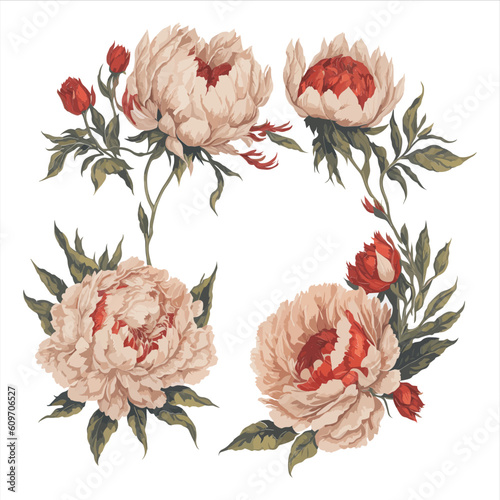 Peonies Red White Watercolor Flower Arrangement Collection.