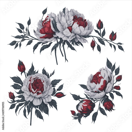 Peonies White Red Watercolor Flower Arrangement Collection.