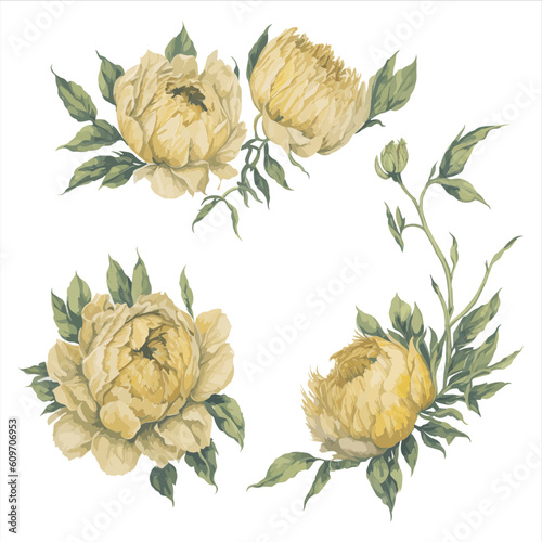 Peonies Yellow Watercolor Flower Arrangement Collection.