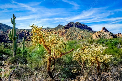 Arizona Apache Trail photo