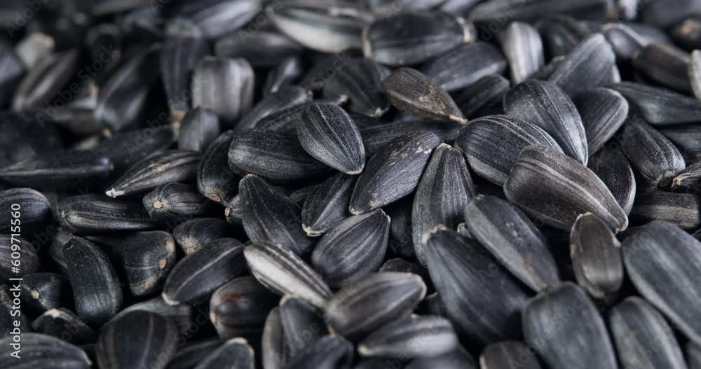 The sunflower seeds on a plate close-up. The sunflower seeds after harvest. Pile of Dried Sunflower Unpeeled Seeds, a Healthy Source of Vitamins in Vegan Food. The sunflower seeds on a plate close-up. The sunflower seeds after harvest. Pile of Dried Sunflower Unpeeled Seeds, a Healthy Source of Vitamins in Vegan Food.