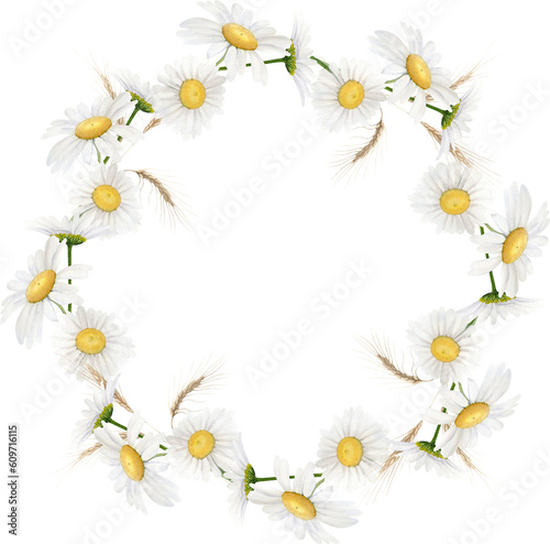Hand Drawn Watercolor Wreath Of A White Daisy And Spikelets Wheat © NataliaArkusha