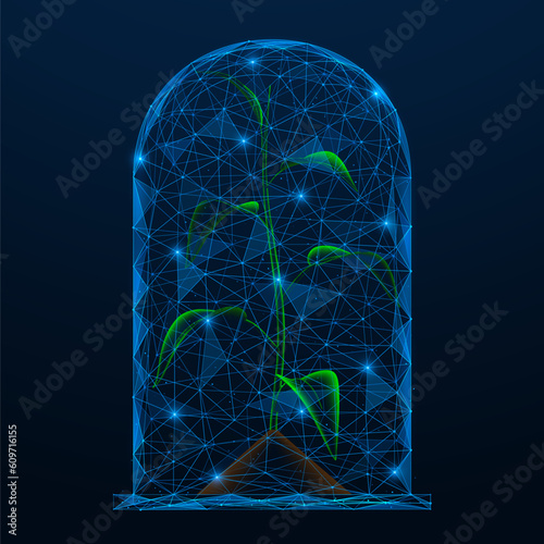 Plant under a glass dome. Polygonal design of lines and dots. Blue background.