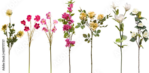 Fototapeta Naklejka Na Ścianę i Meble -  set of flowers on transparent background