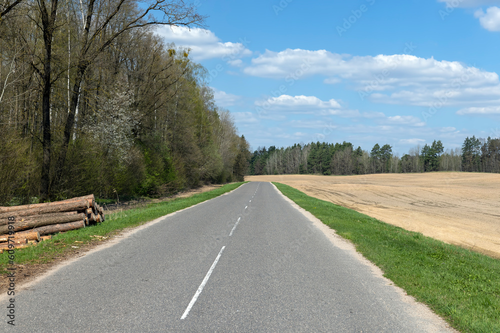 old paved road through forest and field in spring