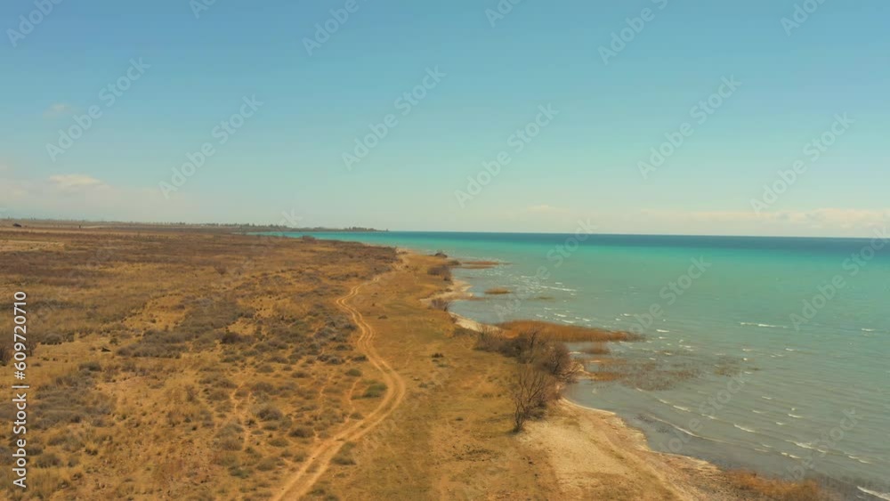 Slow aerial top view of desert sandy shore with forest belt along huge picturesque lake Kyrgyzstan, Central Asia. Natural landscape separated by land and turquoise ocean.