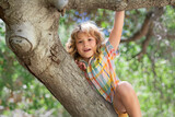 Funny child climbing a tree in the garden. Active kid playing outdoors. Portrait of cute kid boy sitting on the branch tree on summer day.