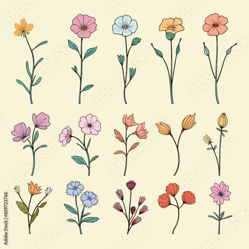 Set of field flowers
