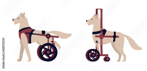 Wheelchair for hind and front paw dogs. Handicapped pets. Veterinary help for disabled paraplegic animals. Canine prosthesis. Puppies with disabilities. Vector isolated mammals set