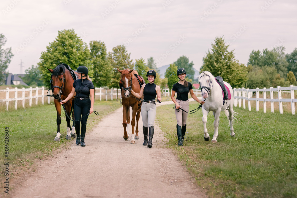 Three beautiful horses with female jockeys, walking side by side along a path near the equestrian farm fields Three beautiful horses with female jockeys, walking side by side along a path near the equestrian farm fields