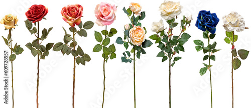Fototapeta Naklejka Na Ścianę i Meble -  set of flowers on transparent background