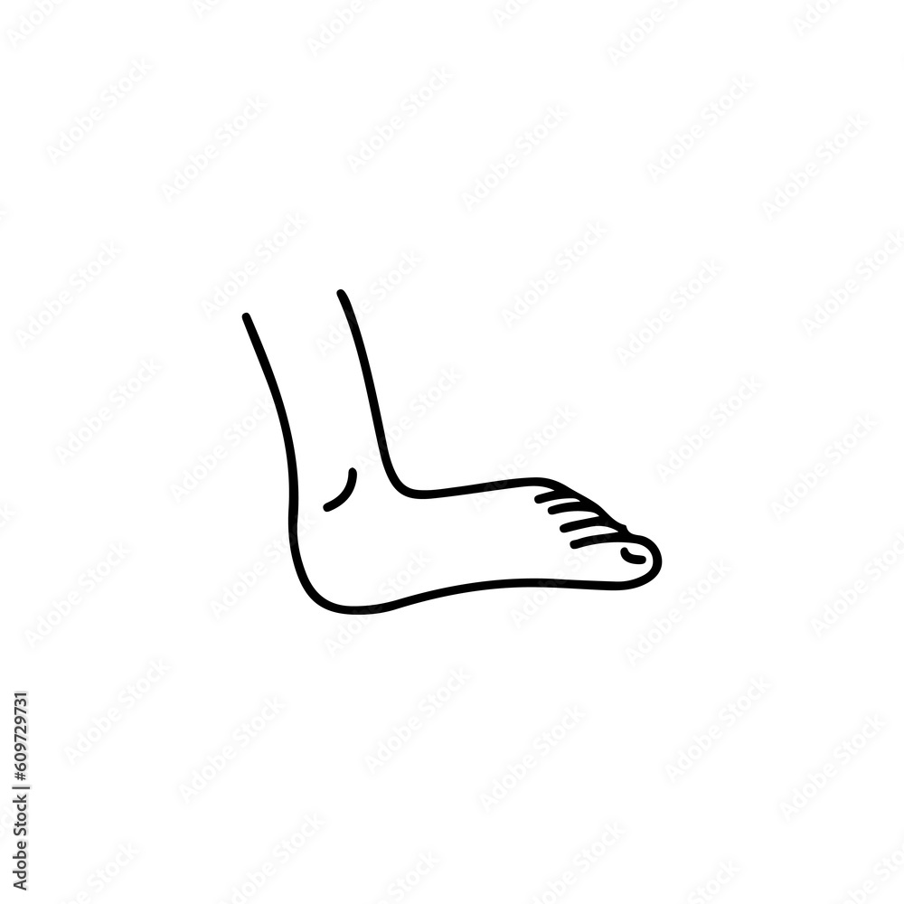 leg concept doodle vector illustration leg concept doodle vector illustration