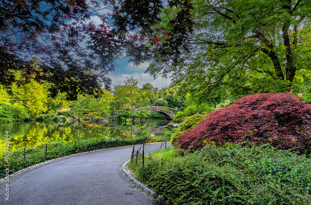 Obraz premium Gapstow Bridge in Central Park