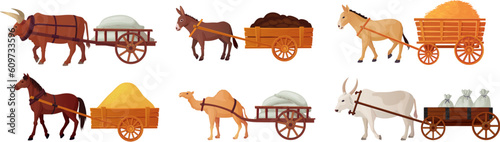 Draft animals cart. Yoke oxen pulling carts, village horse farm power cattle for work, indian bull historical medieval transport asian cow ox working, ingenious vector illustration