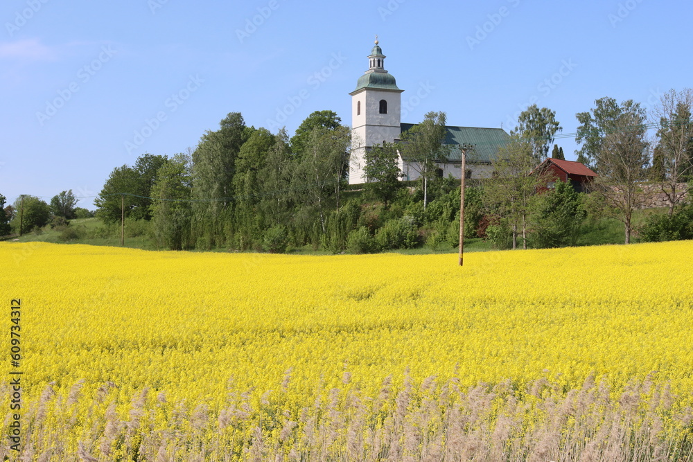 Sweden. Bankekind Church, originally Svinstad Church, is a church building in Bankekind, Östergötland.  It is located about 12 km southeast of Linköping and belongs to the Diocese of Linköping. 