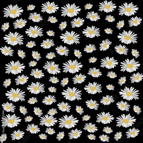 Fondo negro con margaritas.