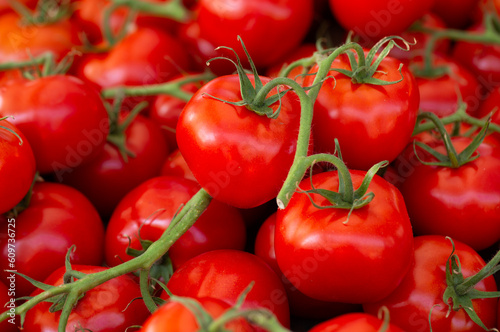 Vine ripe tomatoes at a local farmer s market