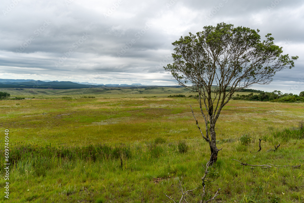 View of Drakensbergen in South Africa near Wonder View, Graskop.