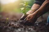Hand Planting Tree, World Save Life, and Plant a Tree. Generative ai