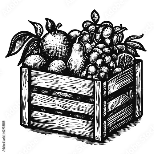 crate with fruits sketch, fruits box