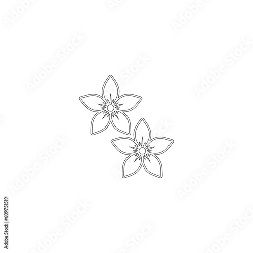 jasmine plant