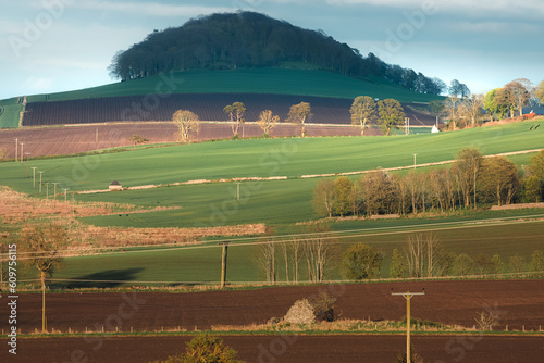 Fotografia, Obraz Scenic landscape view of pastoral countryside farmland in Moonzie near Cupar in Fife, Scotland, UK