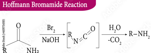 Hoffmann Bromamide Reaction, vector illustration