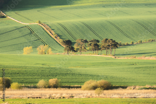 Fotografia Scenic landscape view of pastoral countryside farmland in Moonzie near Cupar in Fife, Scotland, UK