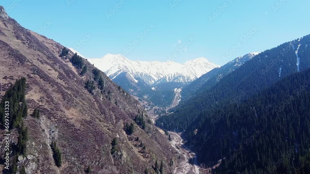 View of the beautiful snowy mountains along with the forested green area
