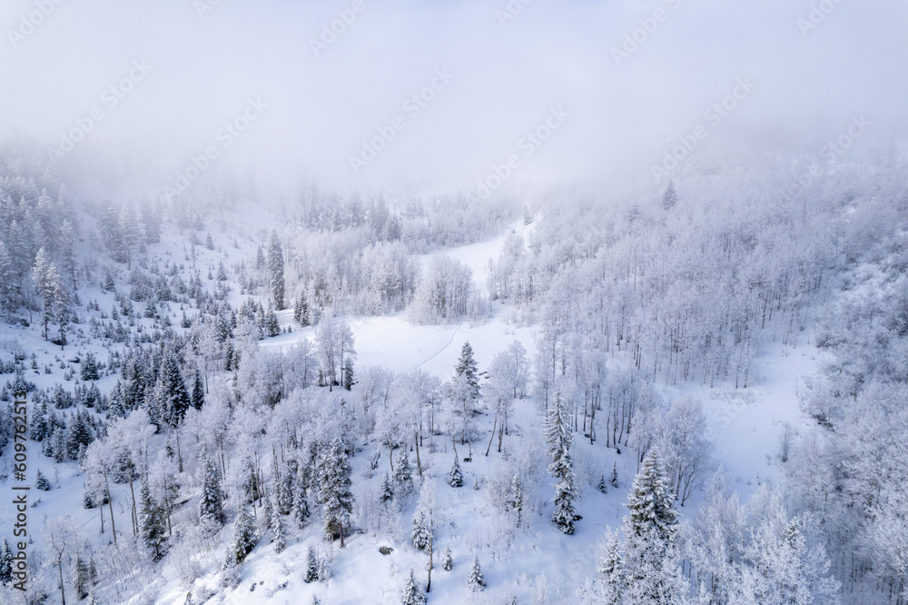 Snowy meadow in mountain valley