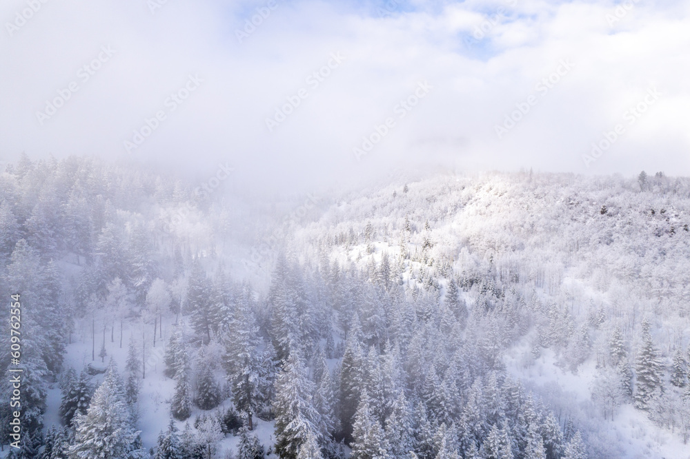 Snowy Mountain Valley Light