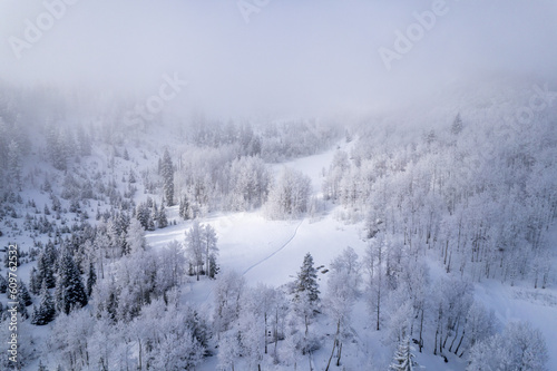 Snowy Trail in Mountain Meadow © Ben