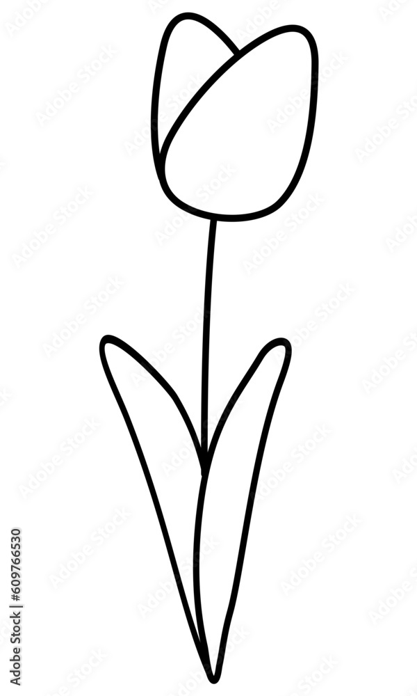 Obraz premium Hand drawn flower outline isolated on white background