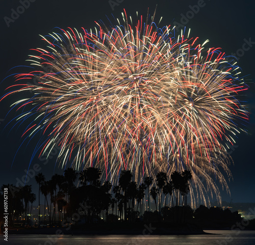 Red, white and blue fireworks explode above palm trees