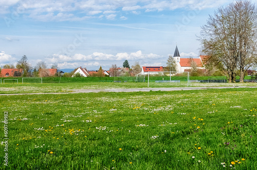 Tranquil European Landscape - Green Grass and Yellow Dandelions