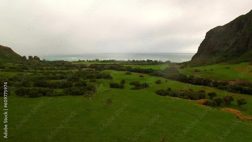 Aerial Shot Of Green Landscape Near Mountains And Sea, Drone Descending Forward Over Plants And Trees Against Sky At Sunset - Oahu, Hawaii Aerial Shot Of Green Landscape Near Mountains And Sea, Drone Descending Forward Over Plants And Trees Against Sky At Sunset - Oahu, Hawaii