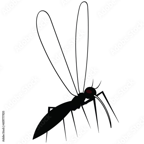 Vector illustration of a mosquito