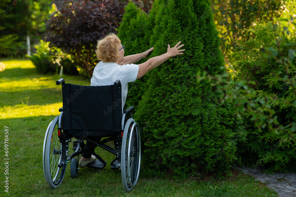 Happy elderly woman in a wheelchair rejoices in a walk outdoors. Happy elderly woman in a wheelchair rejoices in a walk outdoors.