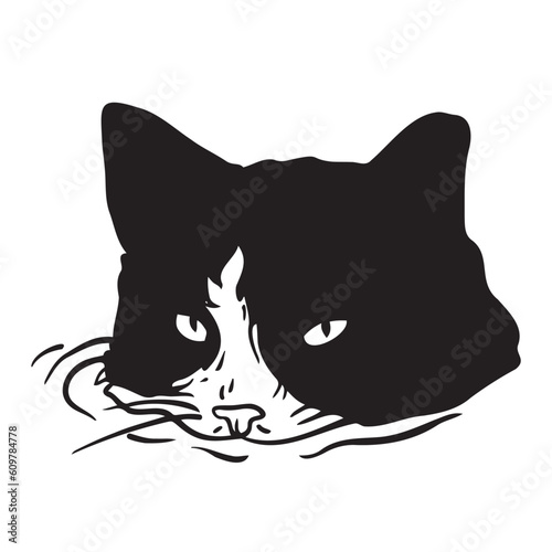 Black and white cat with white patch on its face partially submerged in water. 