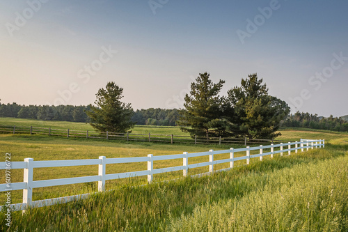 A white board fence along a pasture with white pine trees with a split-rail fence on the other side and a blue sky.