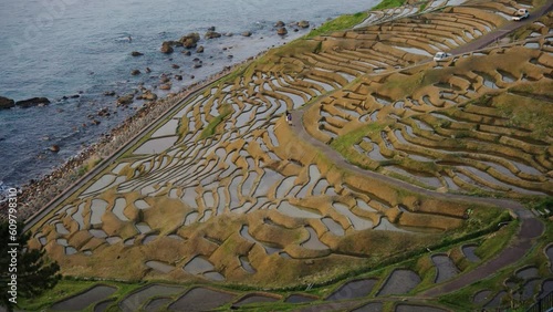 Shiroyone Senmaida Rice Terraces in Early Spring on Noto Peninsula photo
