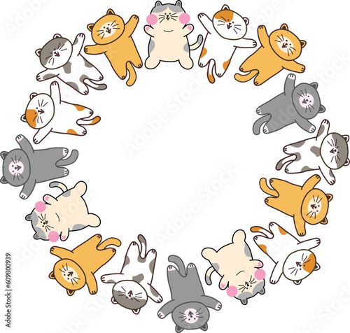 고양이 손에 손 잡고