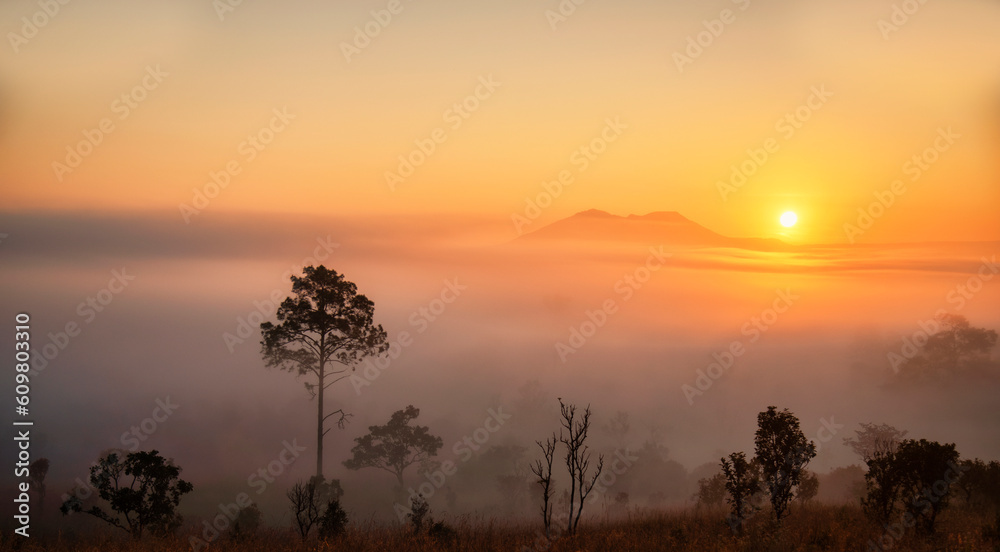 Beautiful landscape of foggy morning sunrise in Thung Salaeng Luang, Phetchabun of Thailand.