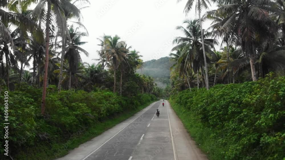 Siargao Philippines a road between palm trees with motorbikes driving, Aerial 4k Siargao Philippines a road between palm trees with motorbikes driving, Aerial 4k