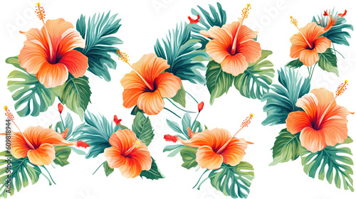 vibrant hibiscus flowers in tropical paradise isolated on a transparent background for design layouts