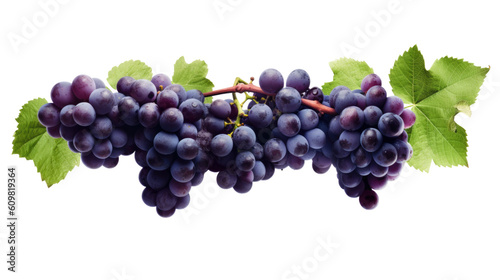 lush vineyard with ripe grapes isolated on a transparent background for design layouts