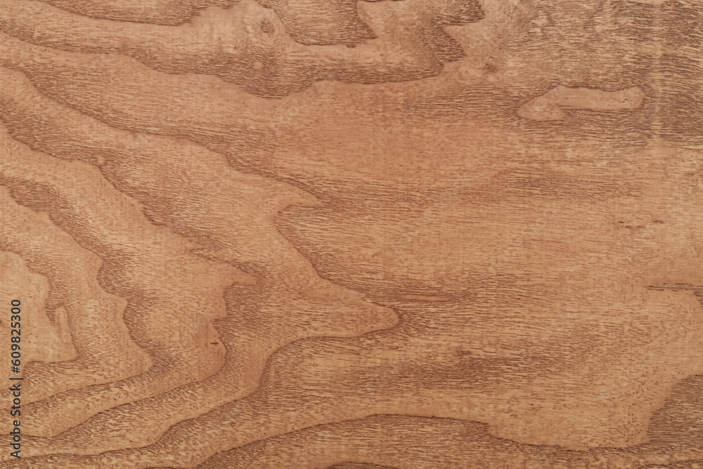Rustic wooden texture for background or design art work. Natural texture with wooden grain. Top view. Close-up. Rustic wooden texture for background or design art work. Natural texture with wooden grain. Top view. Close-up.
