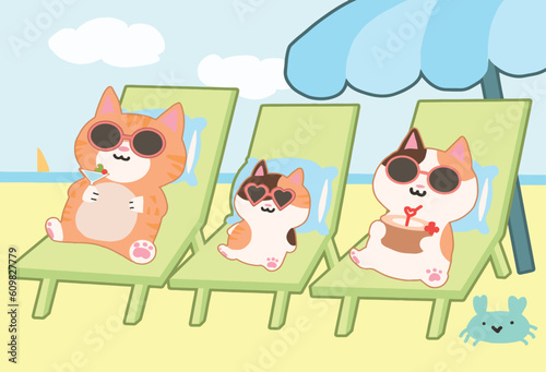 The cat family relax on the beach.