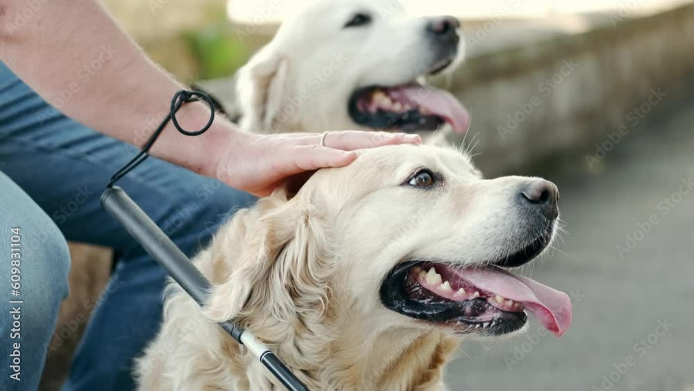 Blind man with a mobility cane sitting down petting his golden